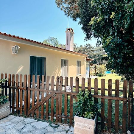 Casa Girassol With A Beautiful Private Pool And Garden Vila Sintra Exterior foto