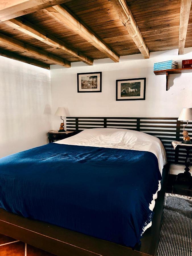 Casa Girassol With A Beautiful Private Pool And Garden Vila Sintra Exterior foto